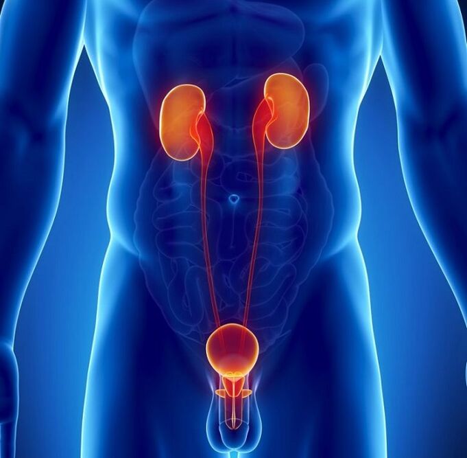 What chronic diseases can affect male potency